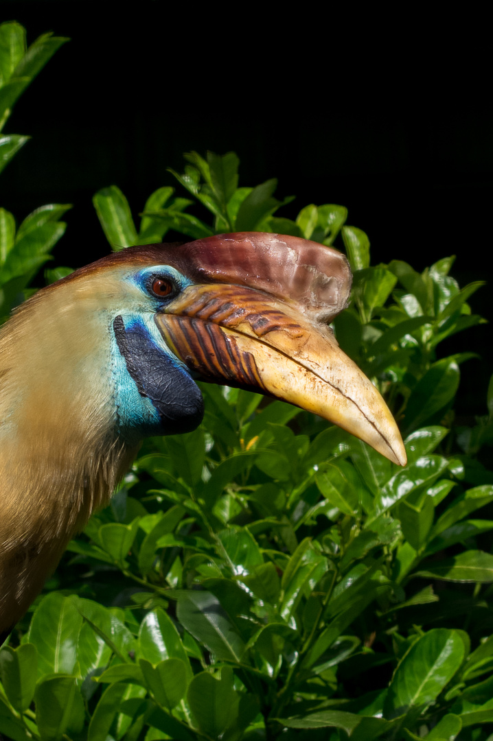 Besuch im Weltvogelpark Walsrode 11