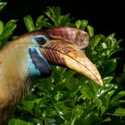 Besuch im Weltvogelpark Walsrode 11