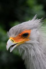 Besuch im Weltvogelpark Walsrode 3