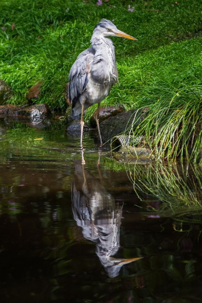 Besuch im Weltvogelpark Walsrode