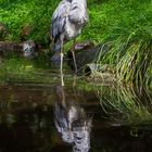 Besuch im Weltvogelpark Walsrode