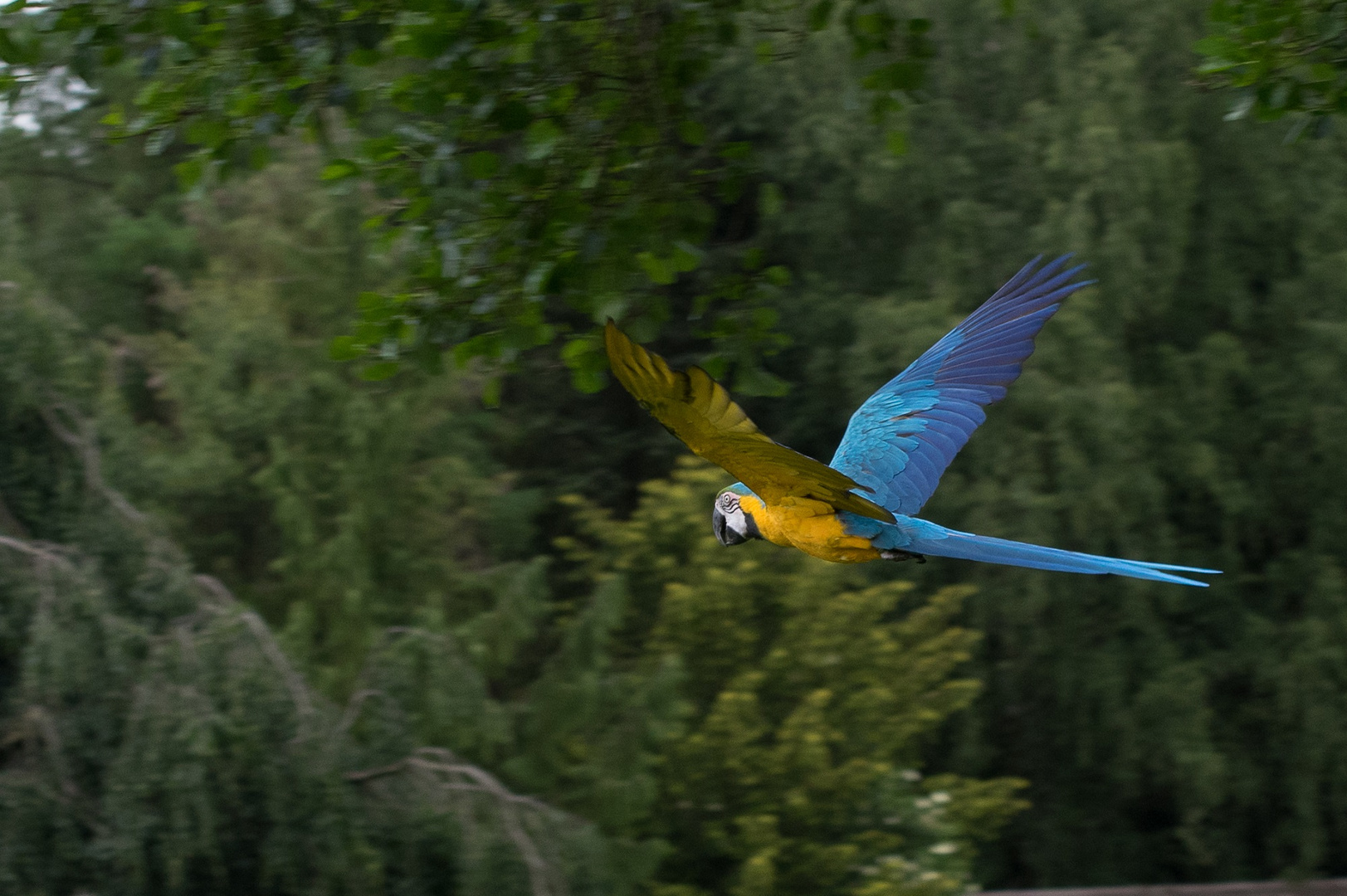 Besuch im Weltvogelpark Walsrode 5