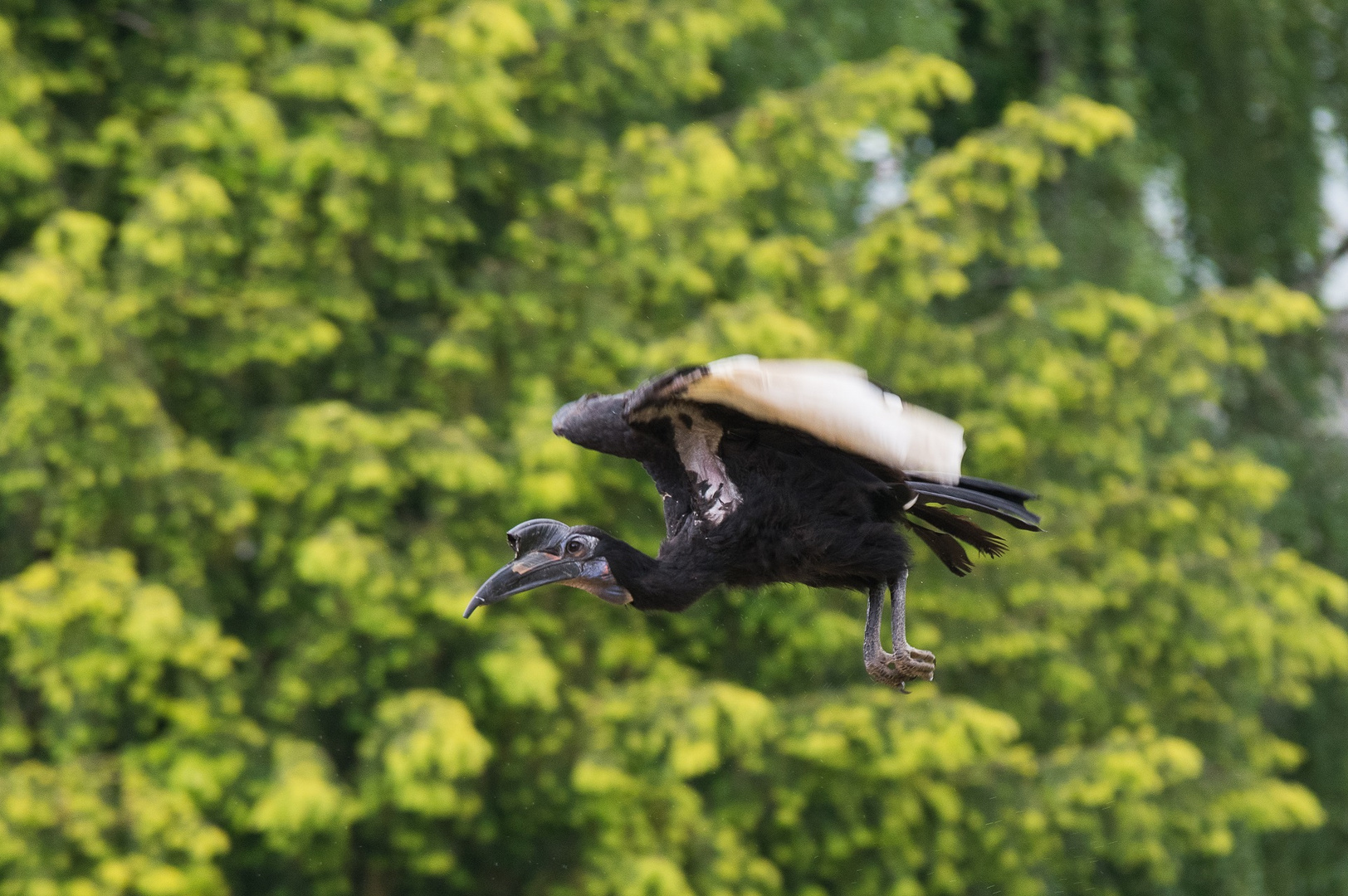 Besuch im Weltvogelpark Walsrode 6