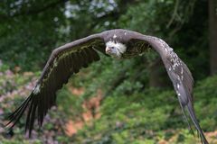 Besuch im Weltvogelpark Walsrode 8