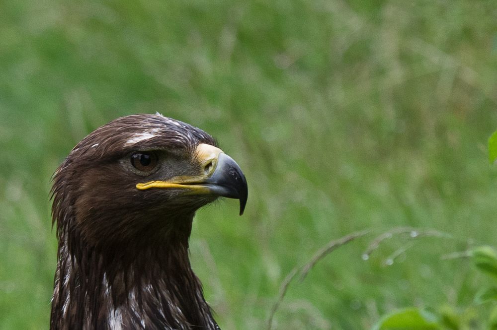 Besuch im Weltvogelpark Walsrode 9