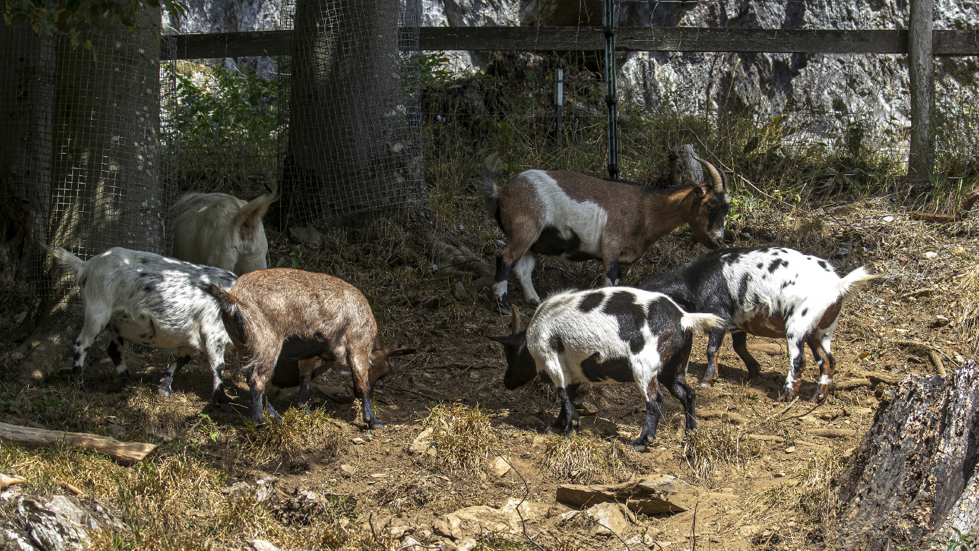 Besuch im Wildpark