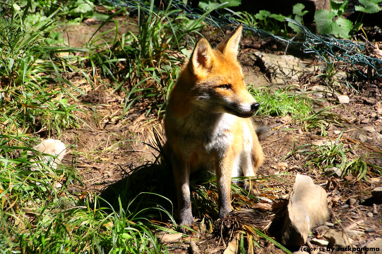 Besuch im Wildpark / Bilsteintal bei Warstein