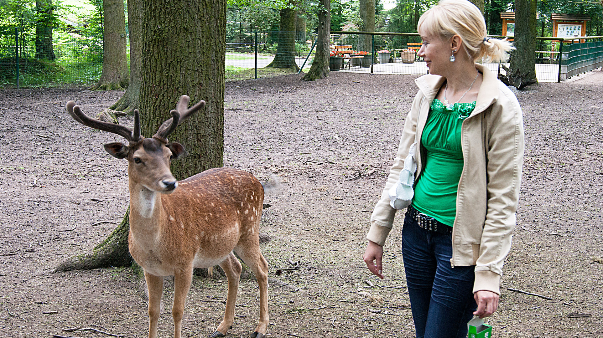 Besuch im Wildpark