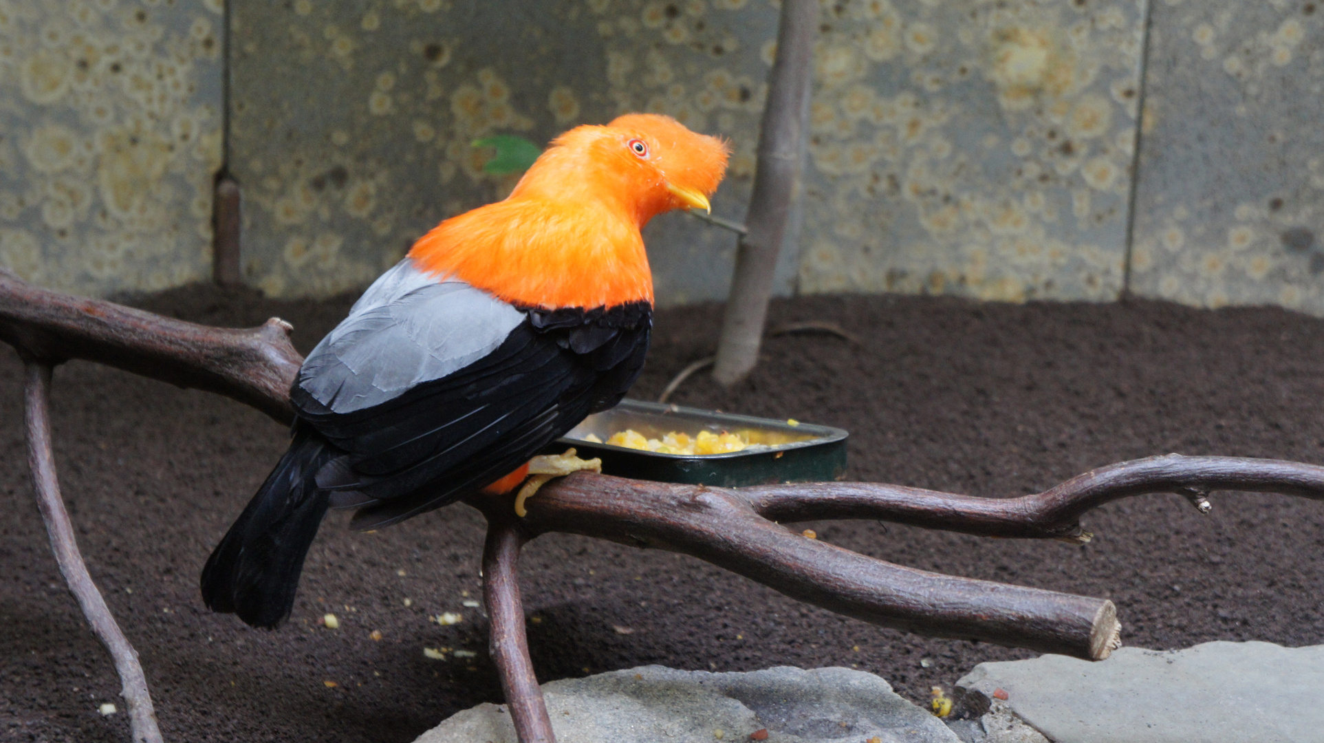 Besuch im Wuppertaler Zoo