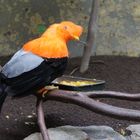 Besuch im Wuppertaler Zoo