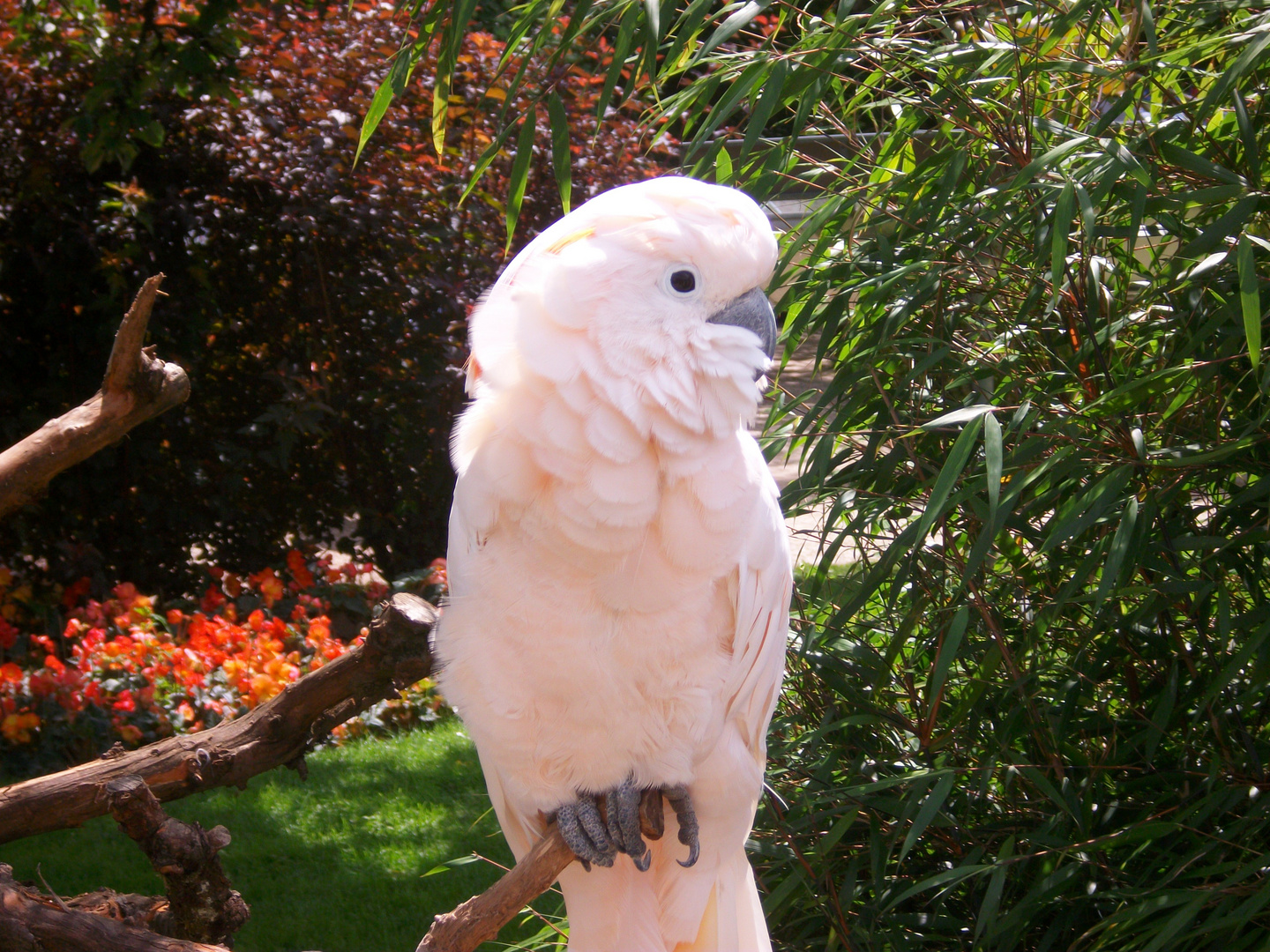 Besuch im Zoo