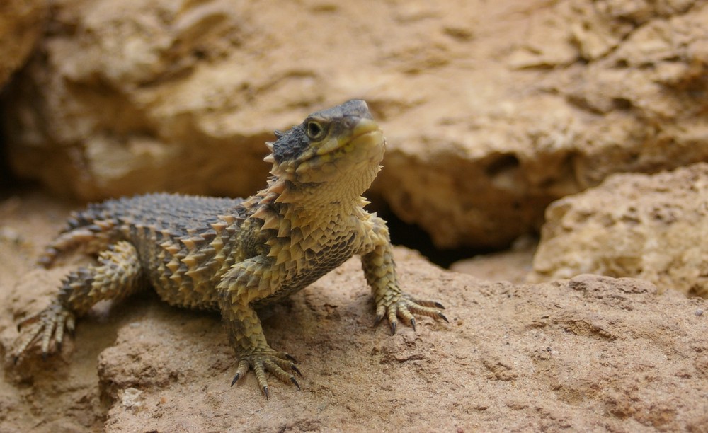 Besuch im Zoo