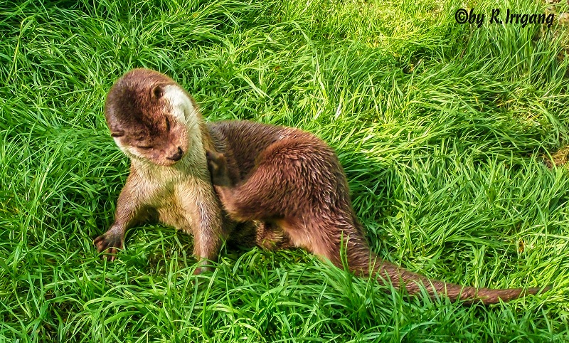 Besuch im Zoo 3