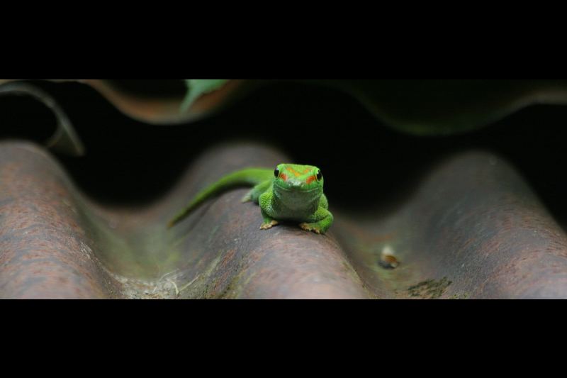 Besuch im Zoo