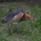 Besuch im Zoo