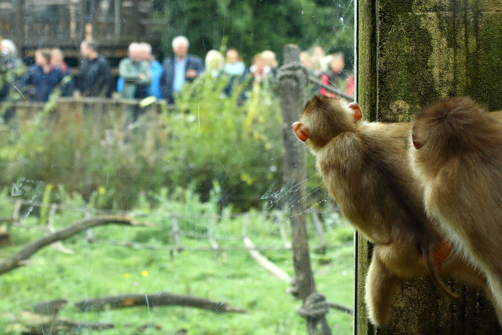 Besuch im Zoo