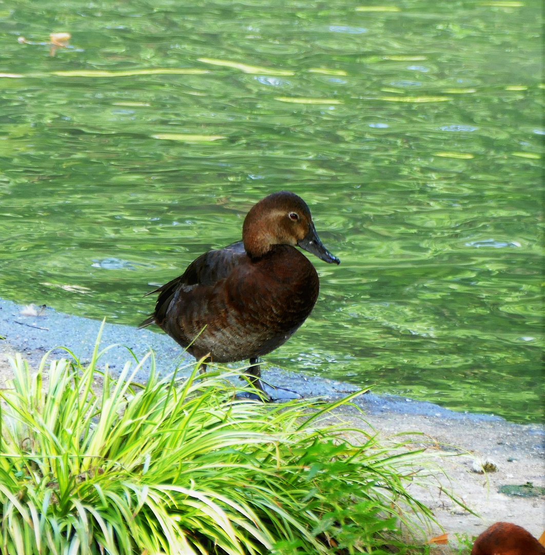 Besuch im Zoo