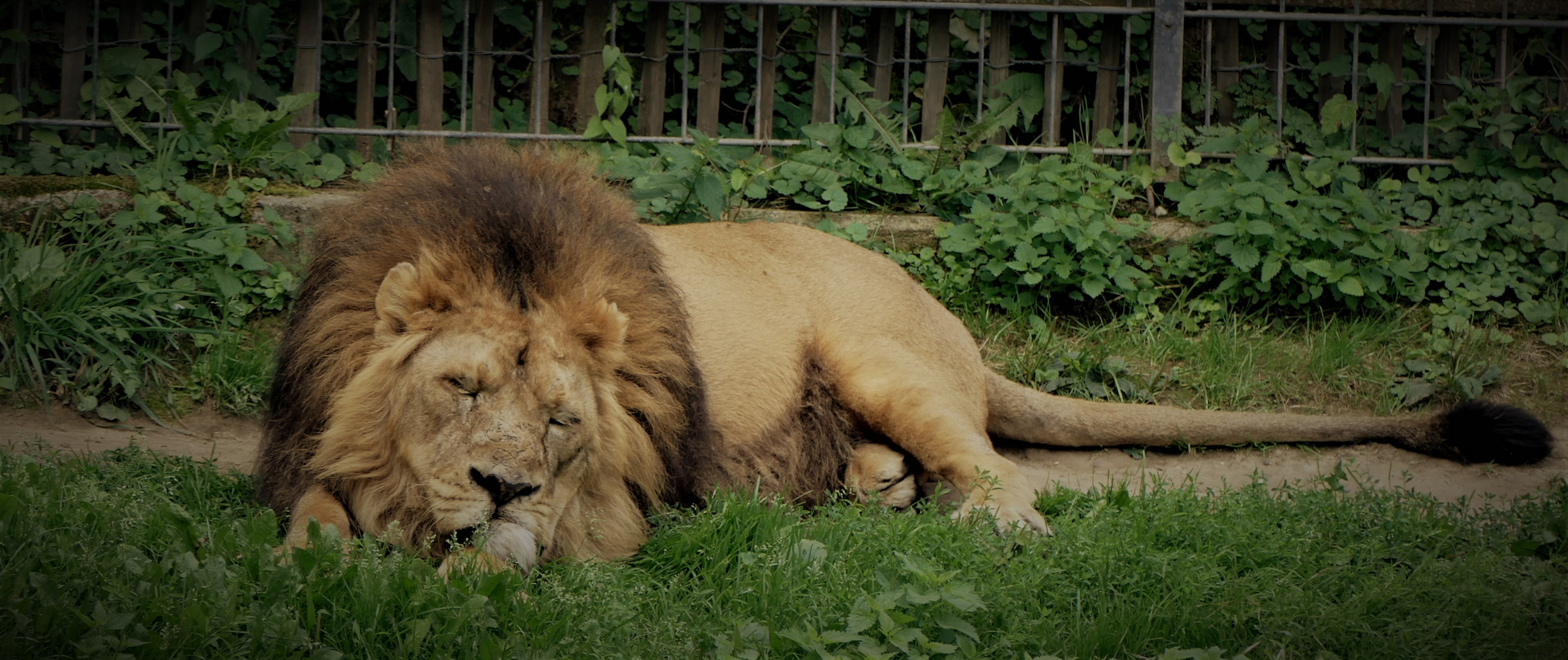 Besuch im Zoo