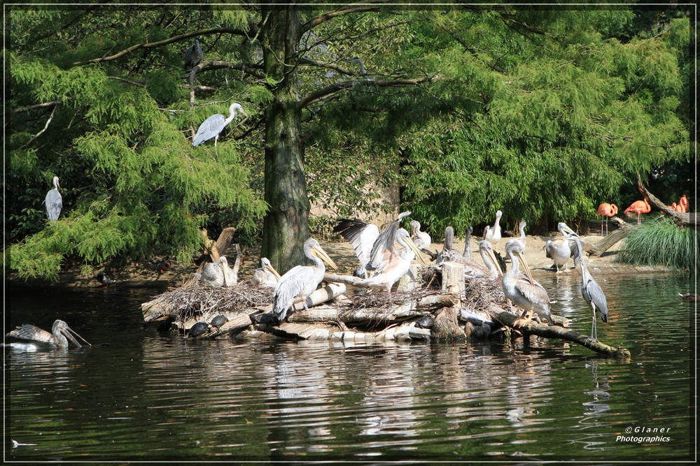 Besuch im Zoo