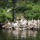 Besuch im Zoo