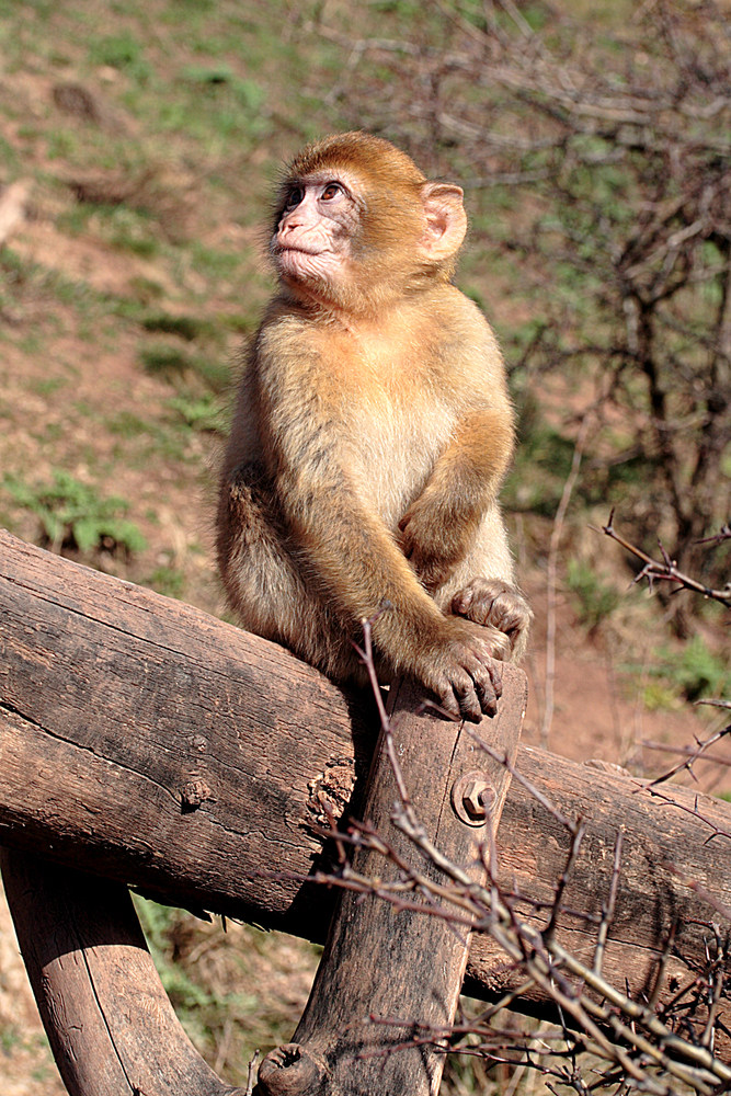 Besuch im Zoo Erfurt