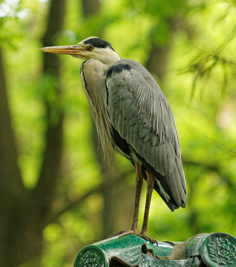 Besuch im Zoo