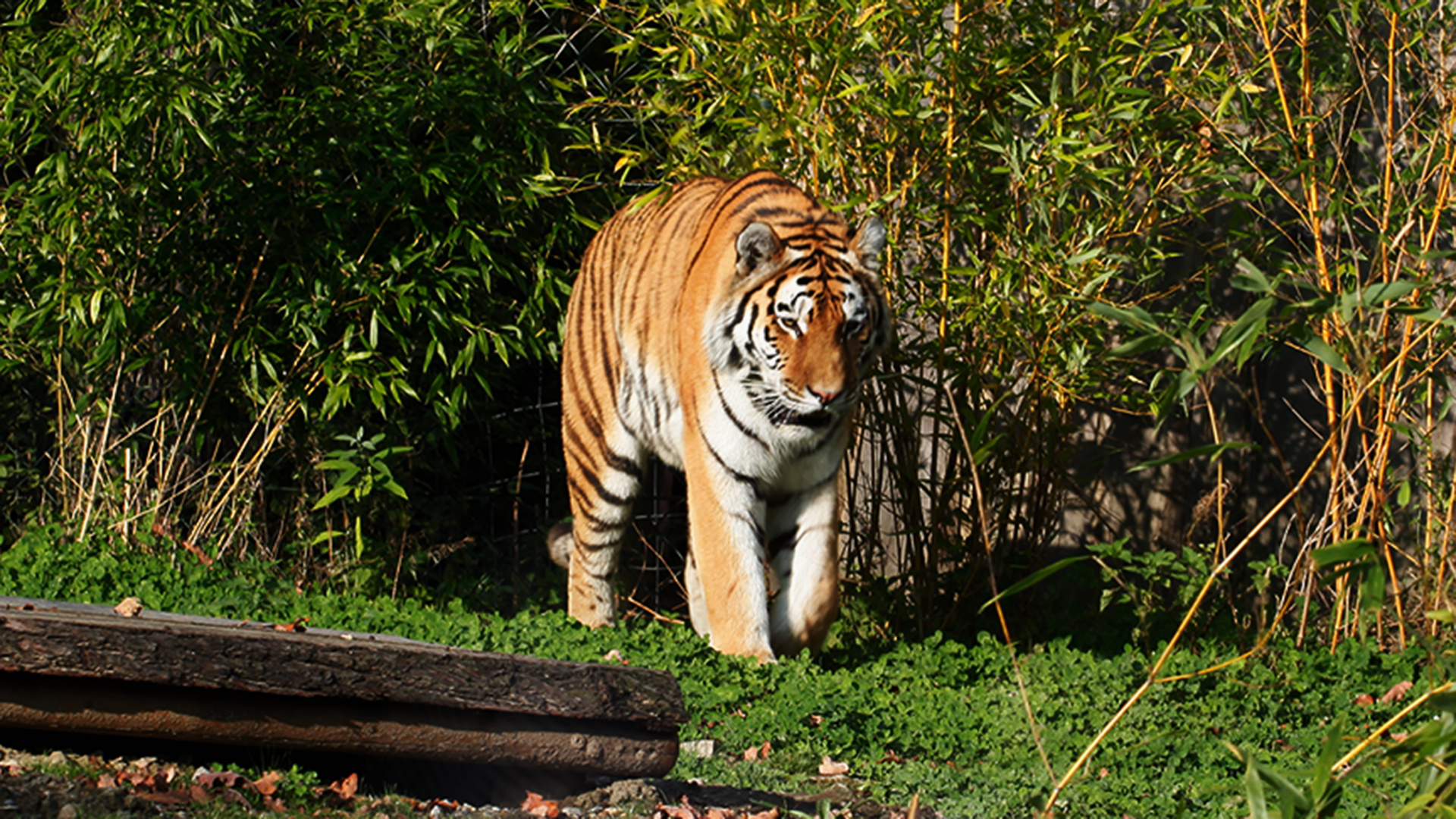 Besuch im Zoo Gelsenkirchen