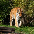 Besuch im Zoo Gelsenkirchen