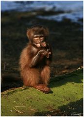 Besuch im Zoo Rheine