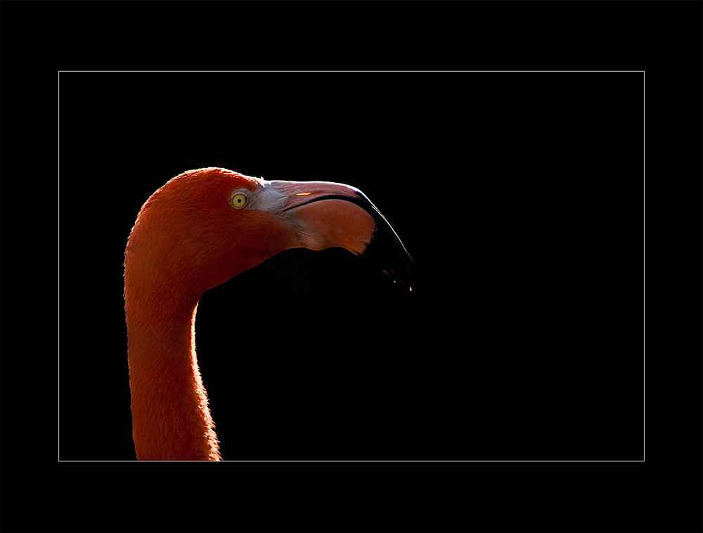 Besuch im Zoo von Mulhouse