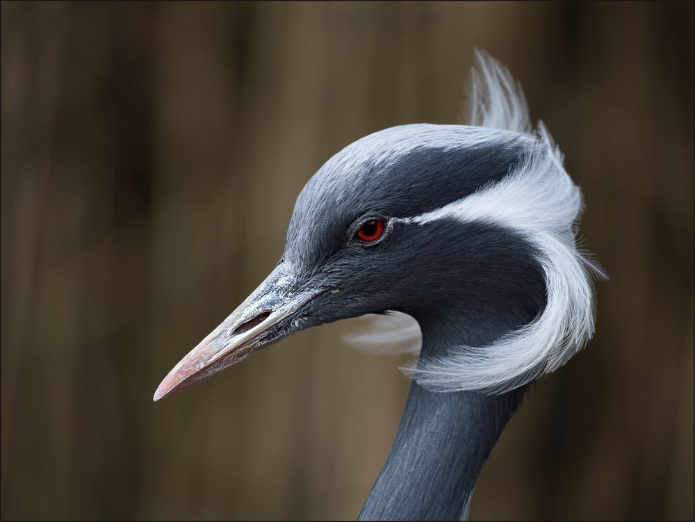 Besuch im Zoo Zürich / 1