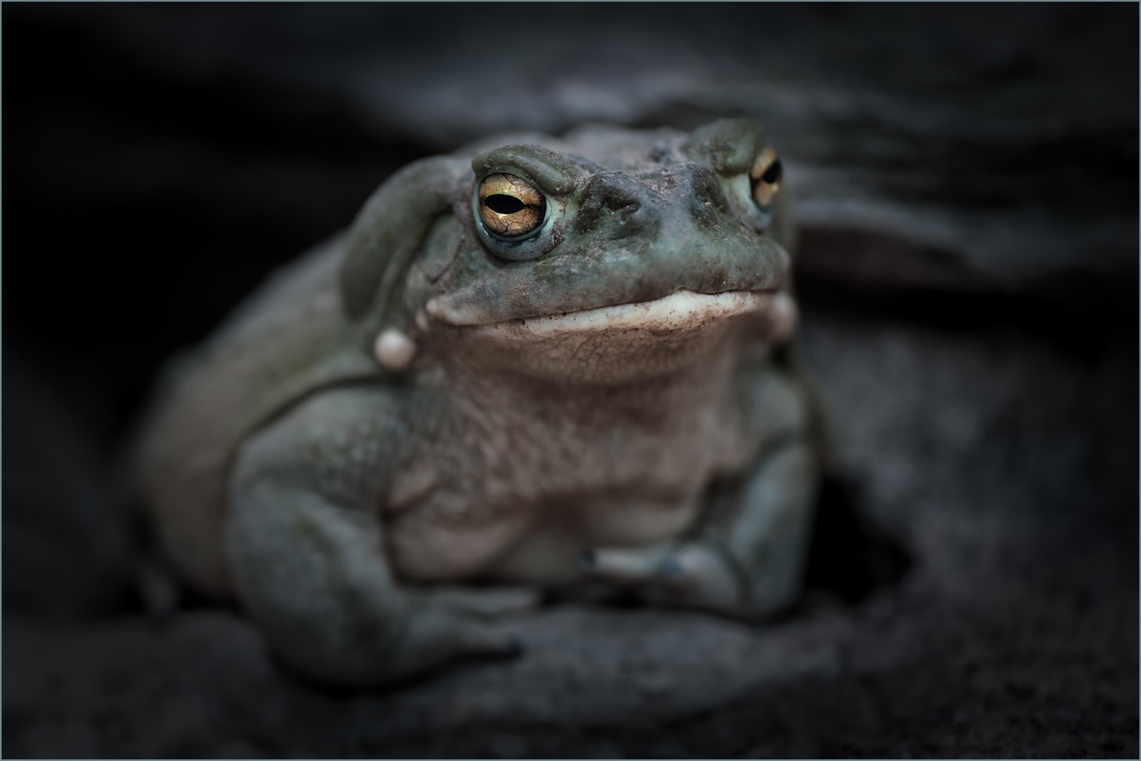 Besuch im Zoo Zürich / 11