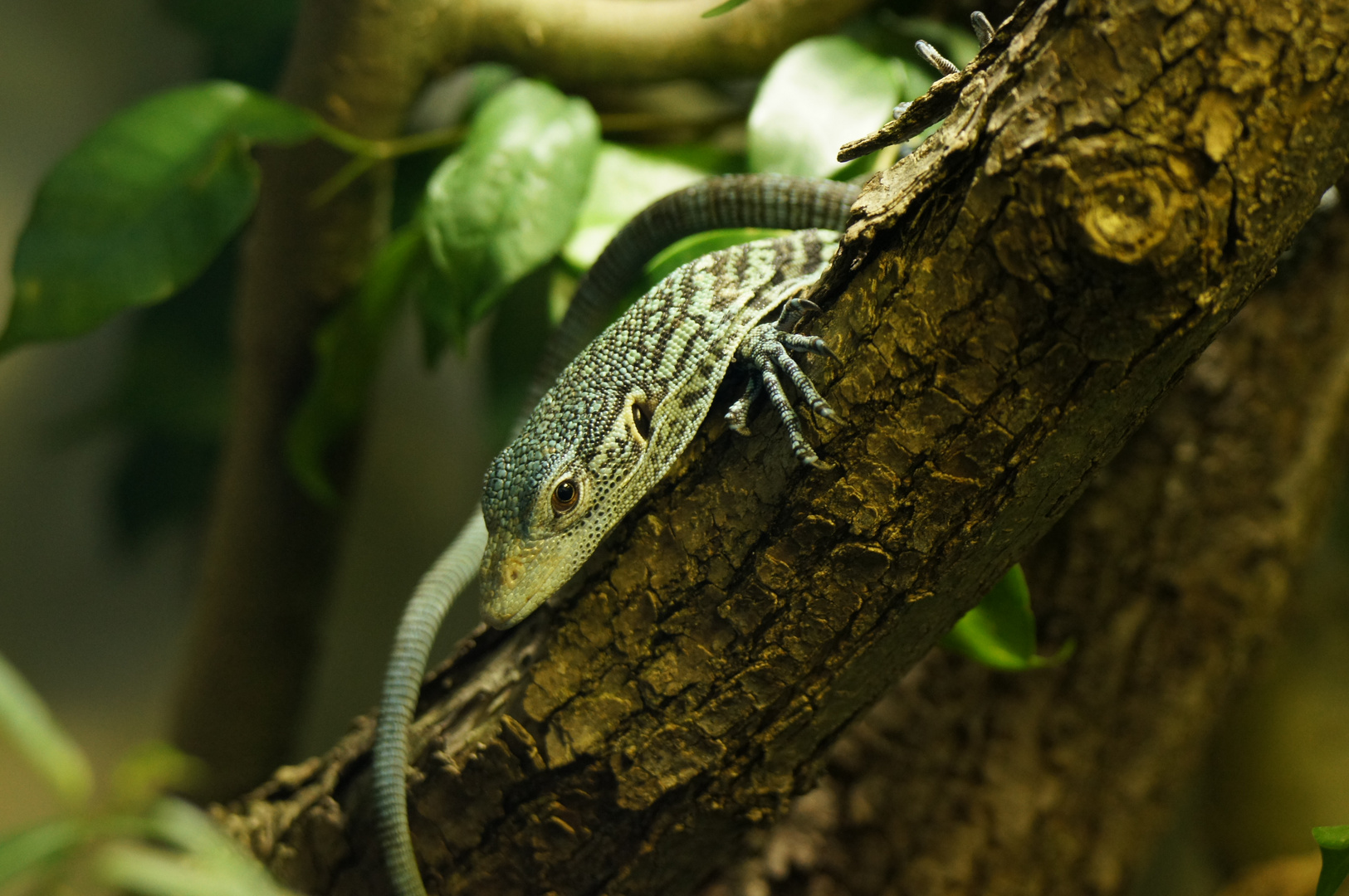 Besuch im Züri-Zoo