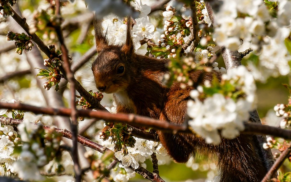 Besuch in der dritten Etage