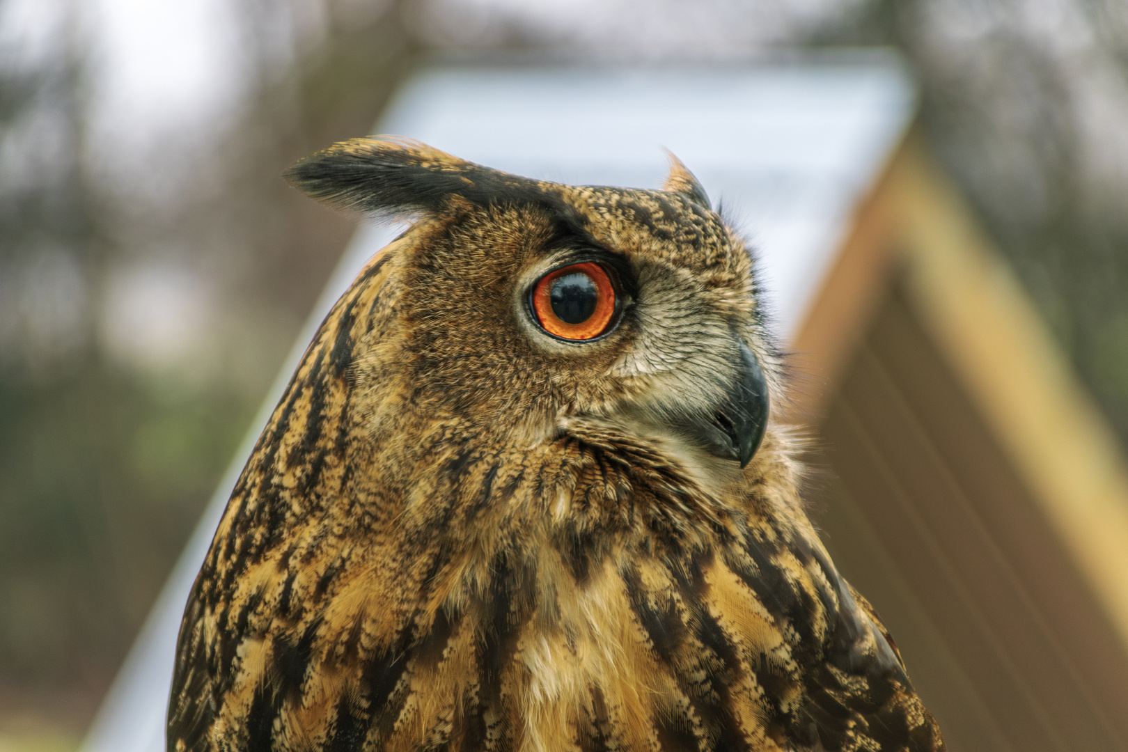 Besuch in der Falknerschule