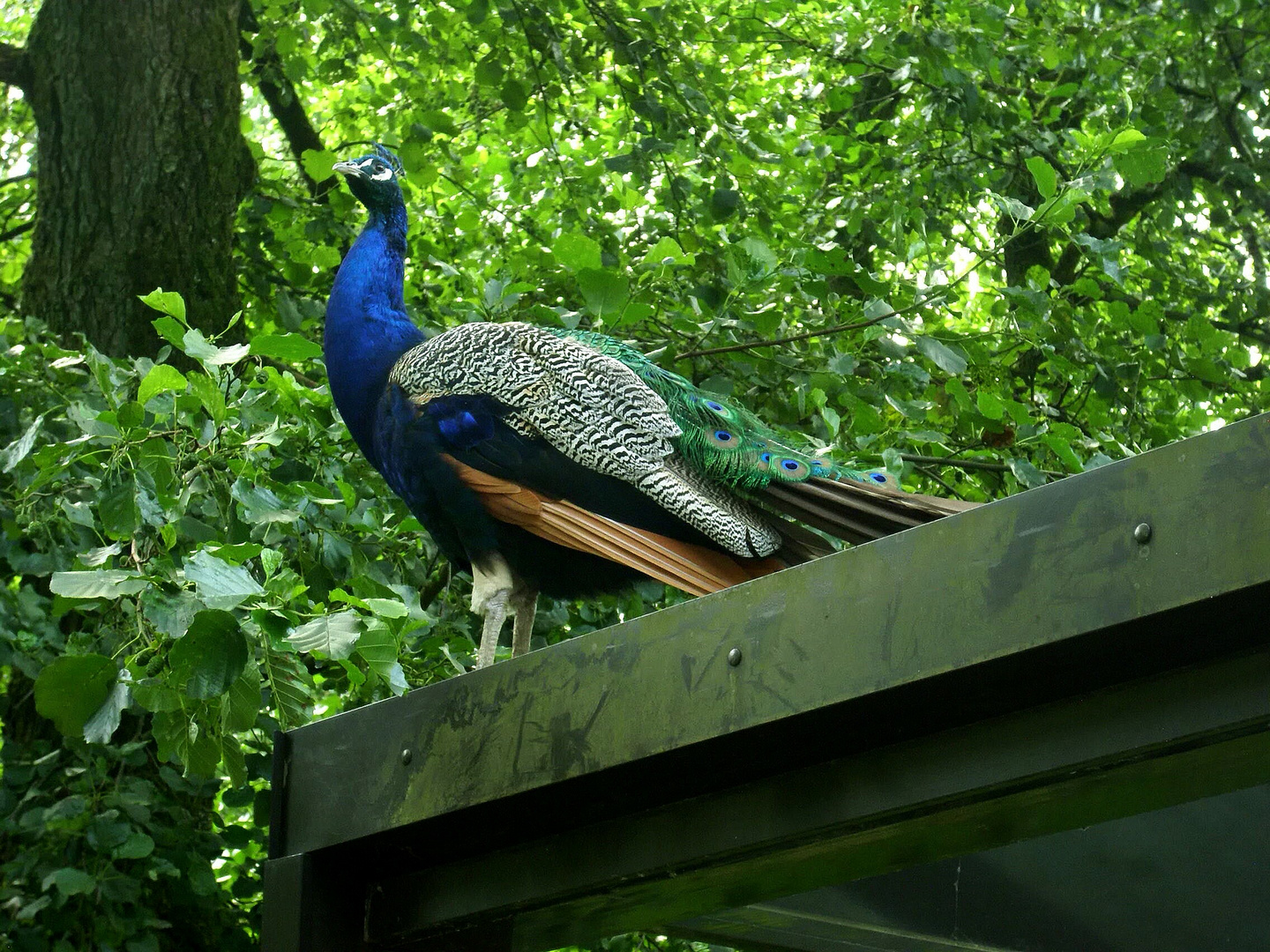 Besuch in der Fauna Solingen