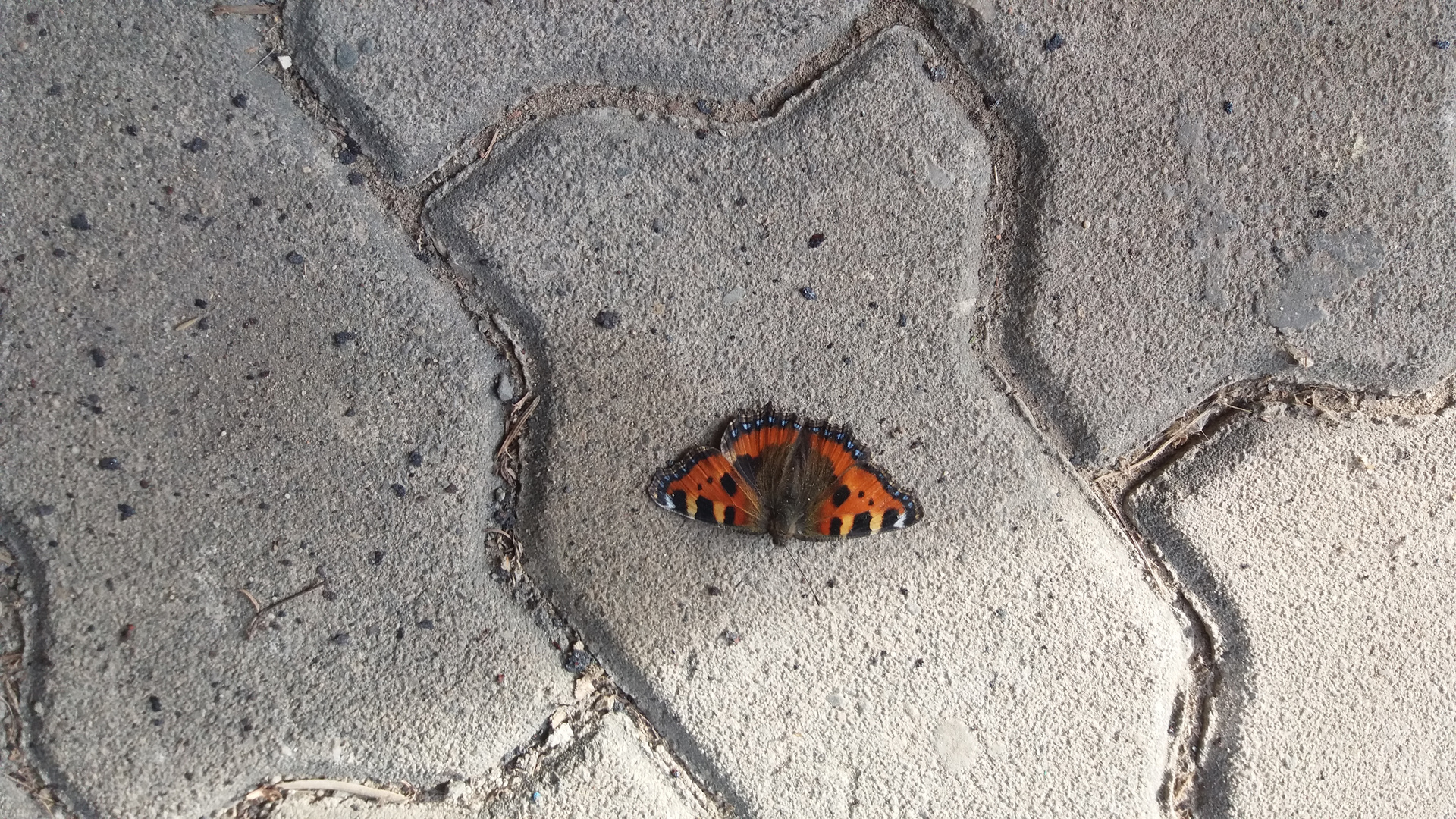 Besuch in der Garage