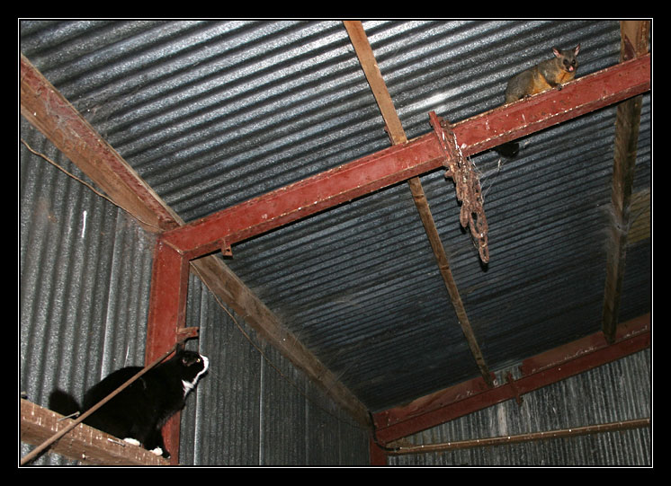 Besuch in der Garage / Visitor in our garage