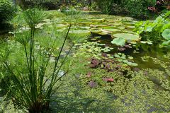 Besuch in der Kölner Flora (1)