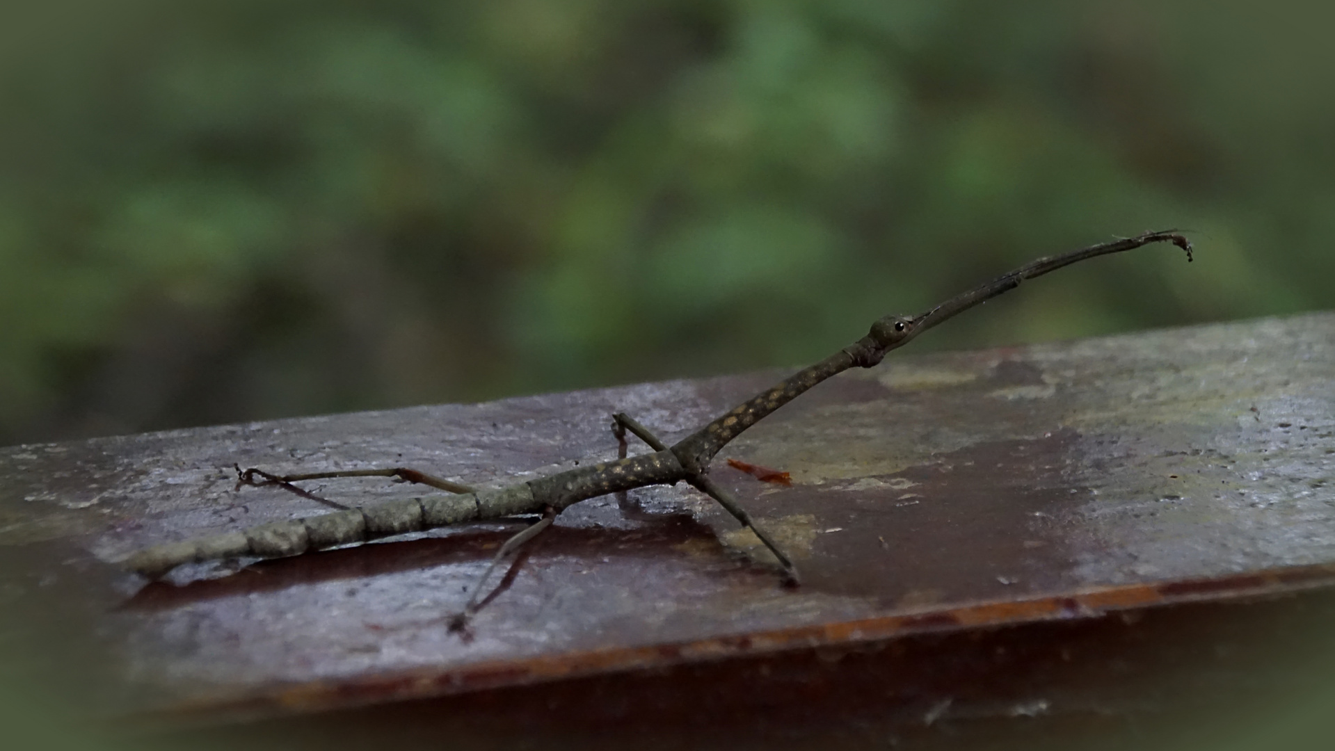 Besuch in der Lodge