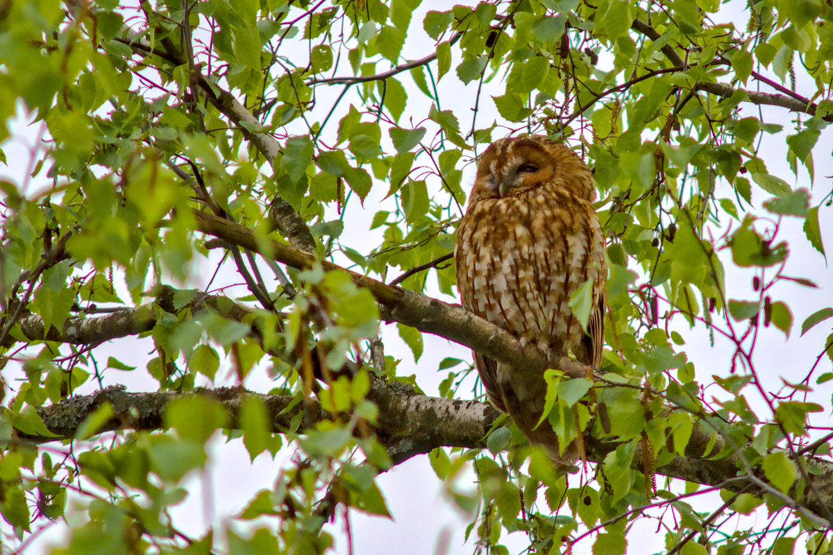 Besuch in der Nachbarschaft