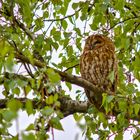 Besuch in der Nachbarschaft