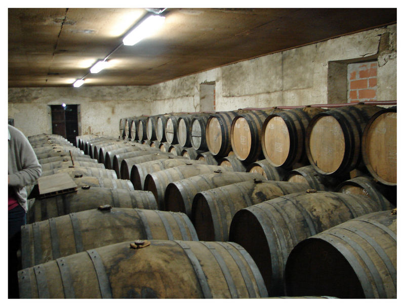 Besuch in einem armagnac-lager das älteste faß wurde mit dem jahr 1974