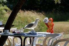 Besuch in einem schwedischen Café