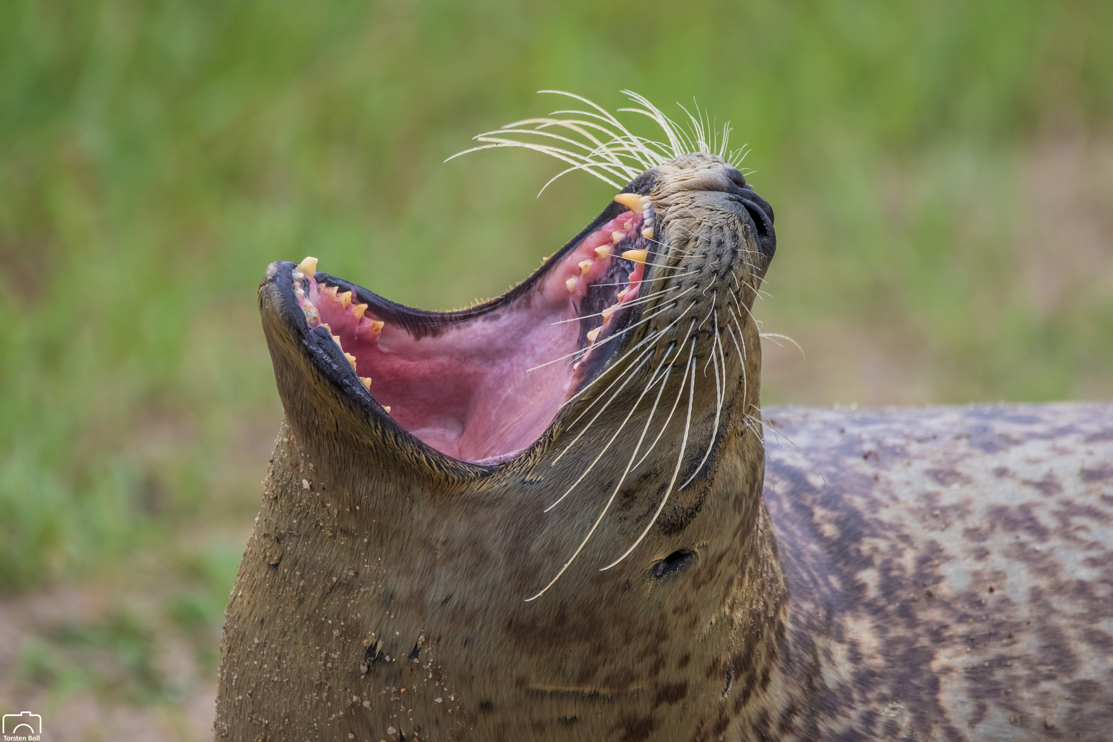 Besuch in Friedrichskoog