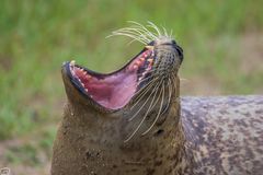 Besuch in Friedrichskoog