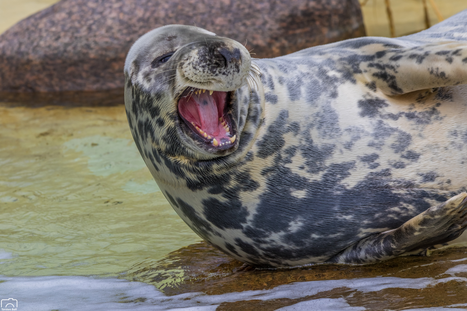 Besuch in Friedrichskoog