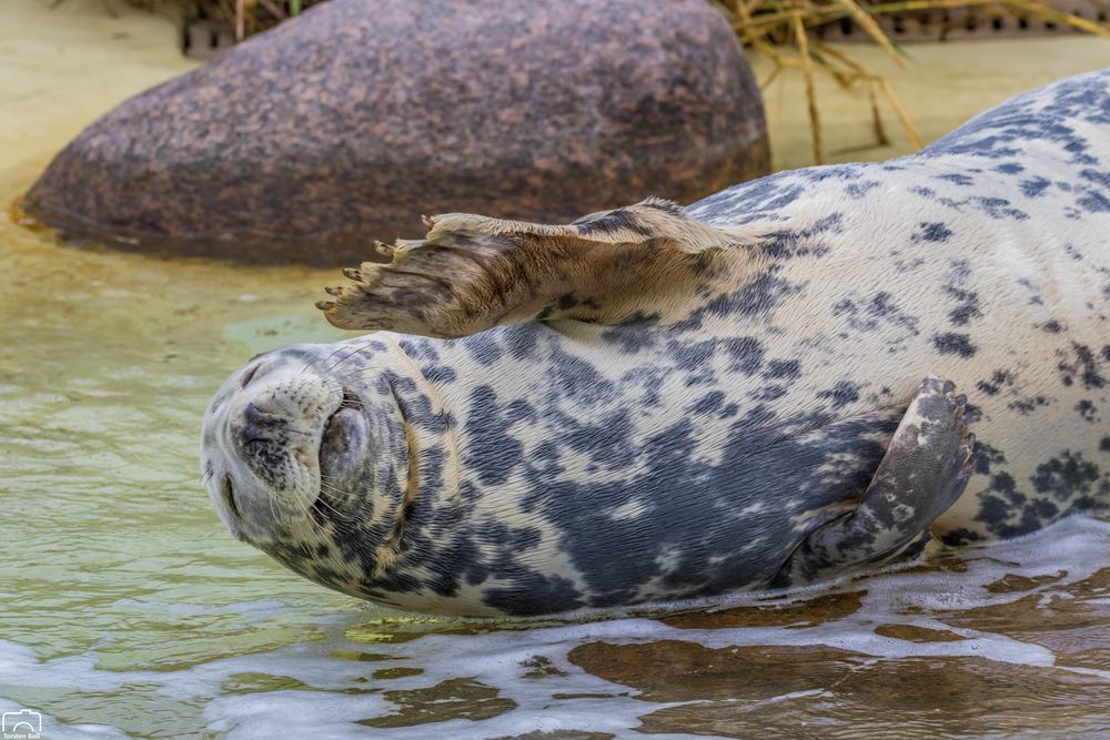 Besuch in Friedrichskoog