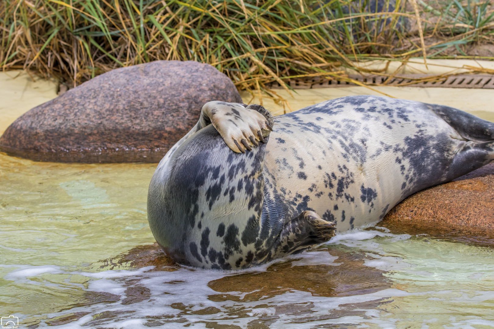 Besuch in Friedrichskoog