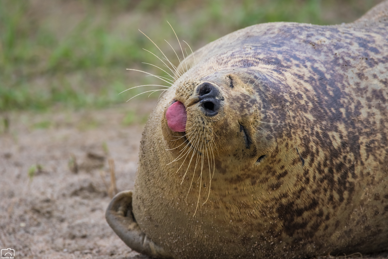 Besuch in Friedrichskoog